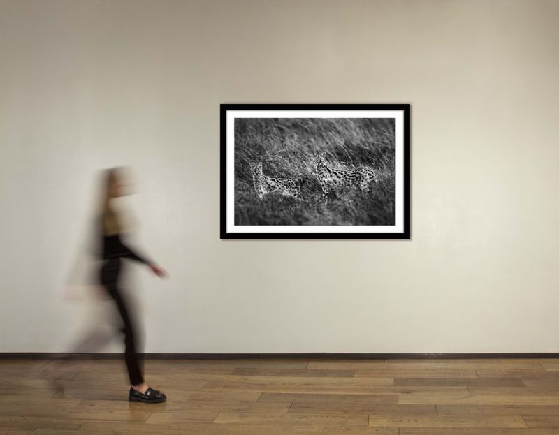 36 x 48 in., edition of 15